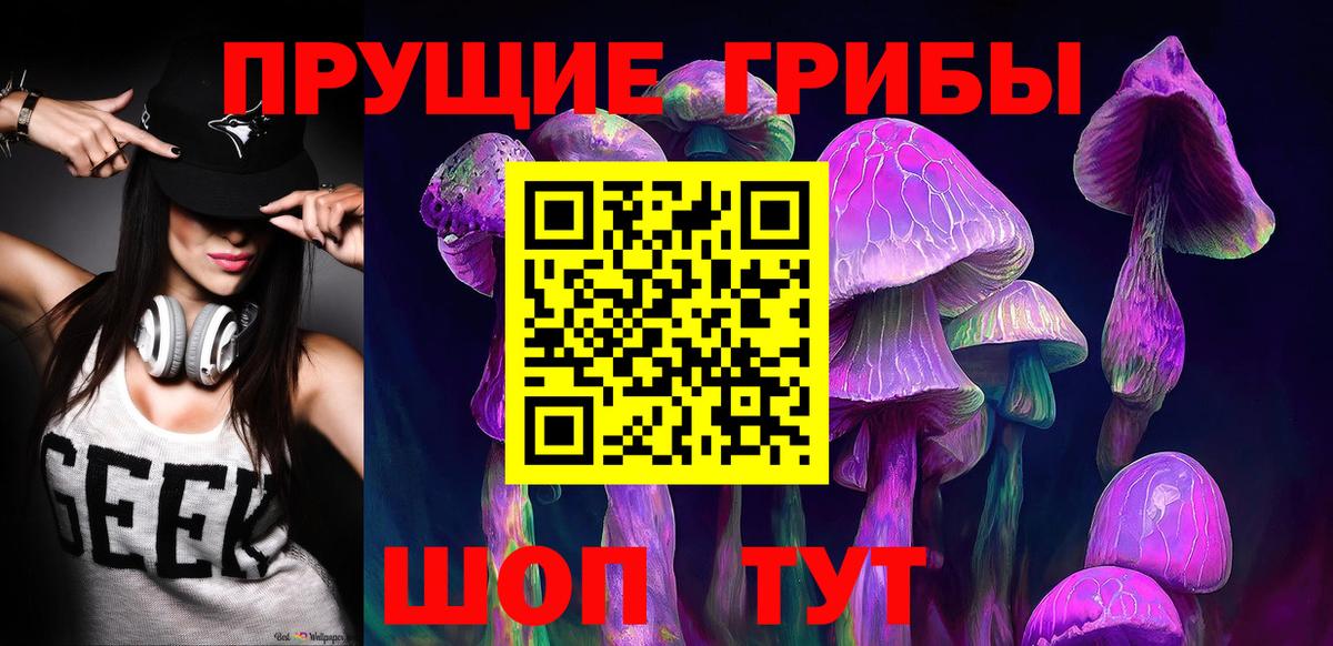 Галлюциногенные грибы прущие грибы  Вход с VPN  Бузулук 